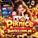 Pknice Game